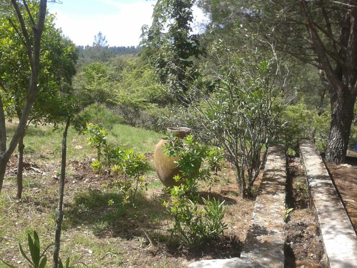 Quinta Das Lameirinhas Marvão Extérieur photo