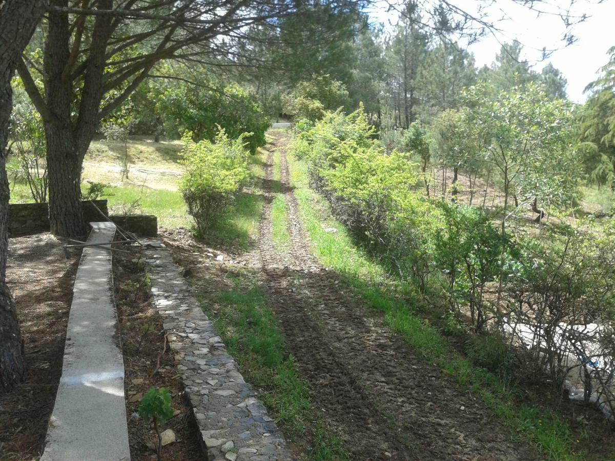 Quinta Das Lameirinhas Marvão Extérieur photo